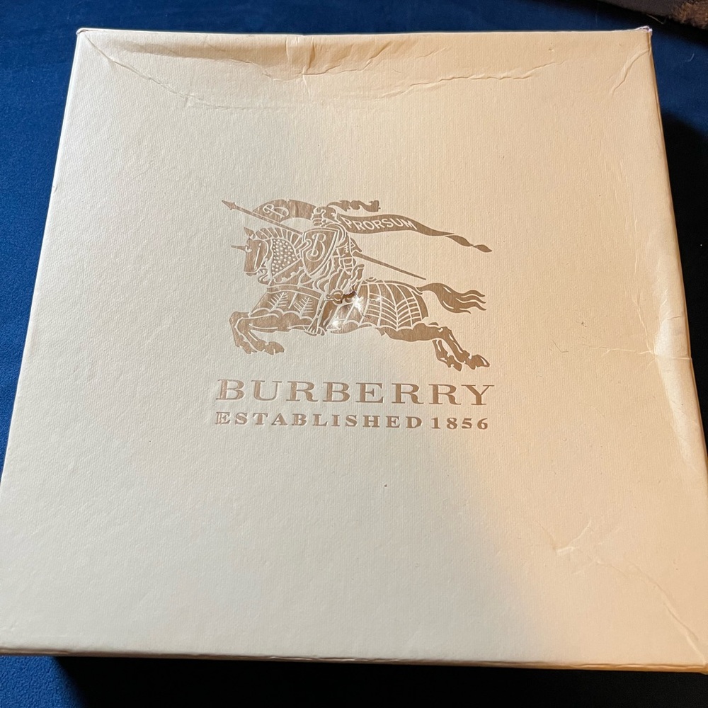 Selling Burberry Scarf. My loss your gain. Didn’t like. New in box never worn